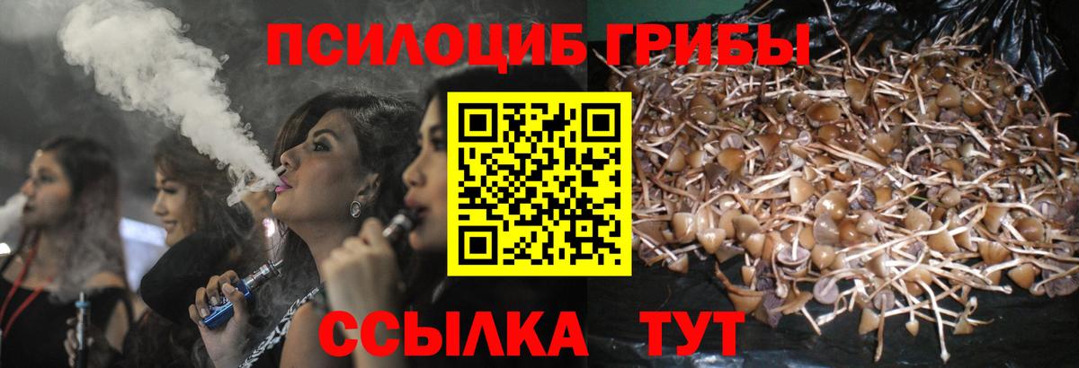 Ейск  Галлюциногенные грибы мицелий  Вход с VPN  Псилоцибиновые грибы GOLDEN TEACHER 